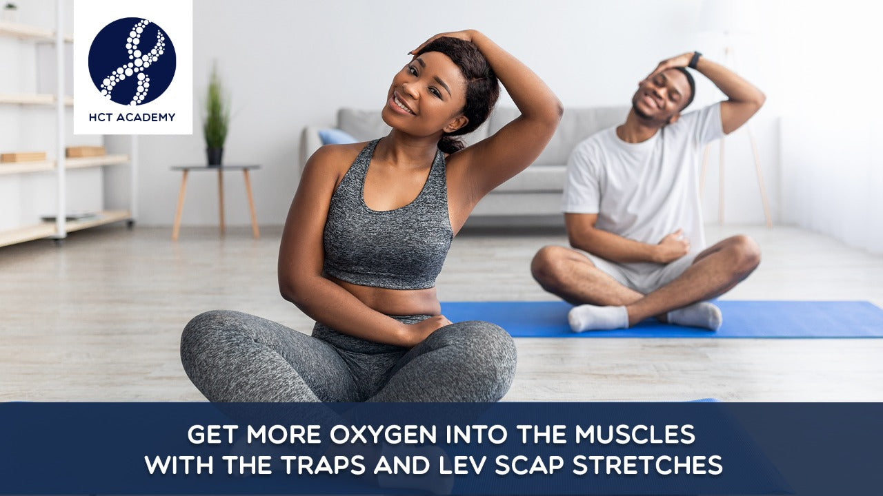 Get more oxygen into the muscles with the Traps and Lev Scap Stretches