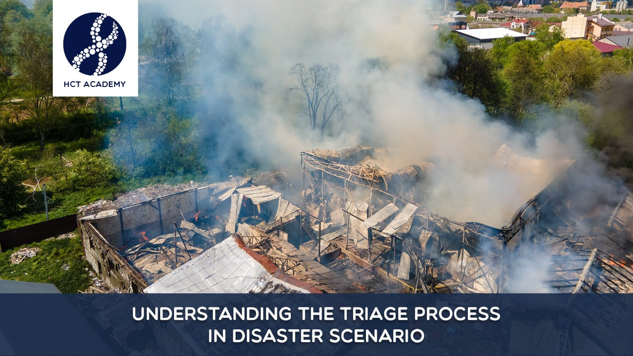 Understanding the Triage Process in Disaster Scenario